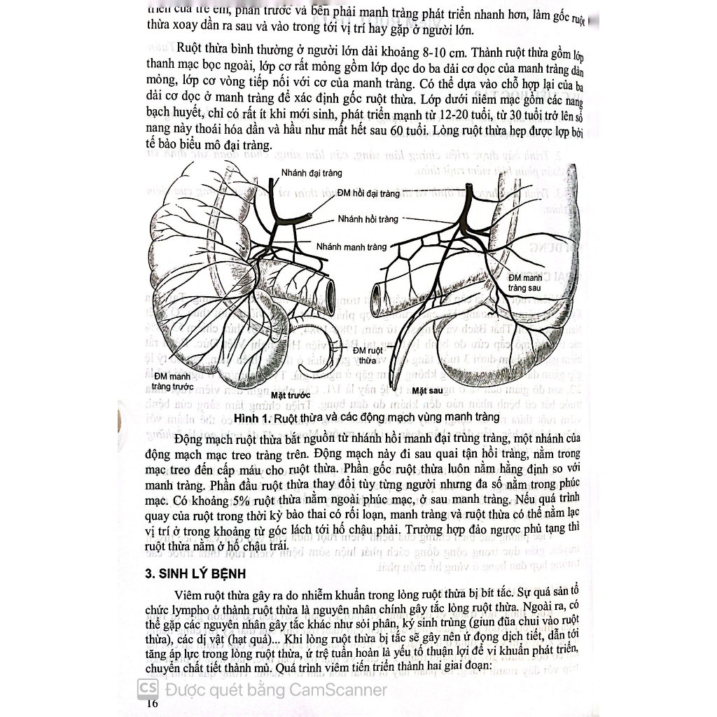 Benito - Sách - Bài giảng bệnh học ngoại khoa - Dùng cho sinh viên năm thứ tư