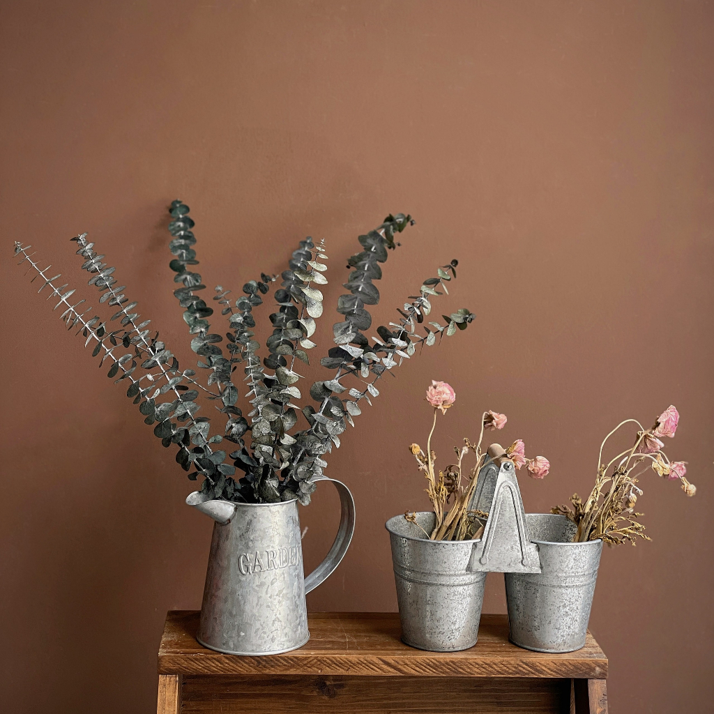 Bó 10 cành lá khuynh diệp sấy khô loại đẹp nguyên cành 60cm | Hoa khô Eucalyptus