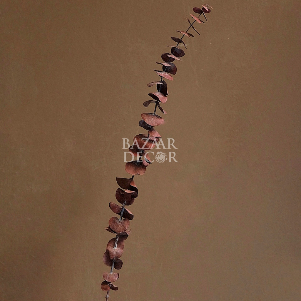 Bó 10 cành lá khuynh diệp sấy khô loại đẹp nguyên cành 60cm | Hoa khô Eucalyptus