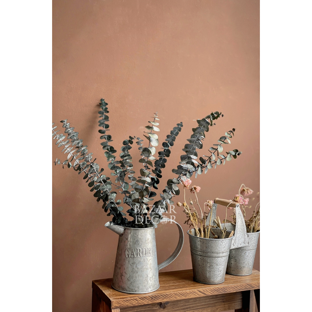 Bó 10 cành lá khuynh diệp sấy khô loại đẹp nguyên cành 60cm | Hoa khô Eucalyptus