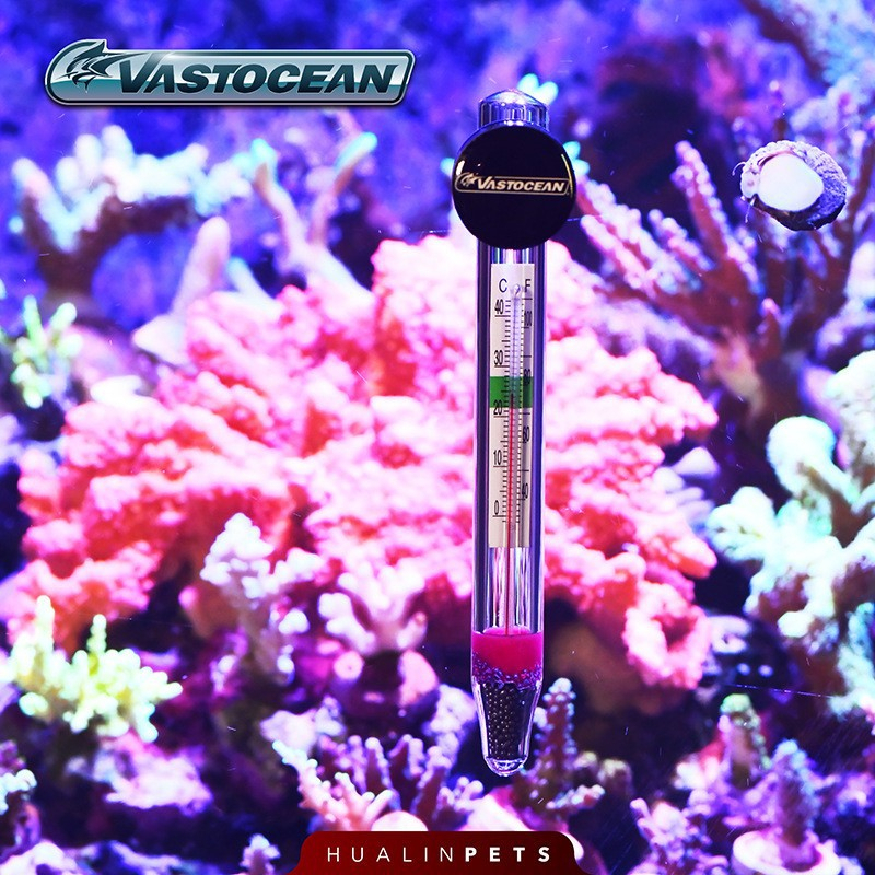 Nhiệt Kế Bể Cá Vastocean độ nhạy và chính xác cao cho bể thuỷ sinh , bể cá biển và san hô