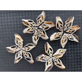 Vỏ ốc cắt 100gr