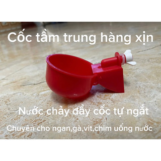 cốc uống nước cho chim gà tự động