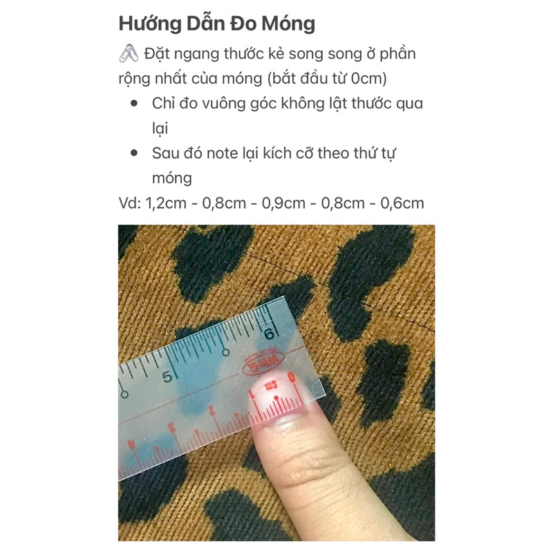 NAILBOX HÌNH CHẢ CÁ NHẬT - KHOCUAMEI