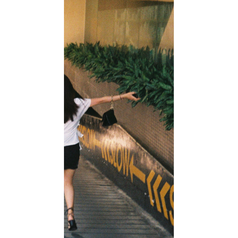 Pass ví clutch mango