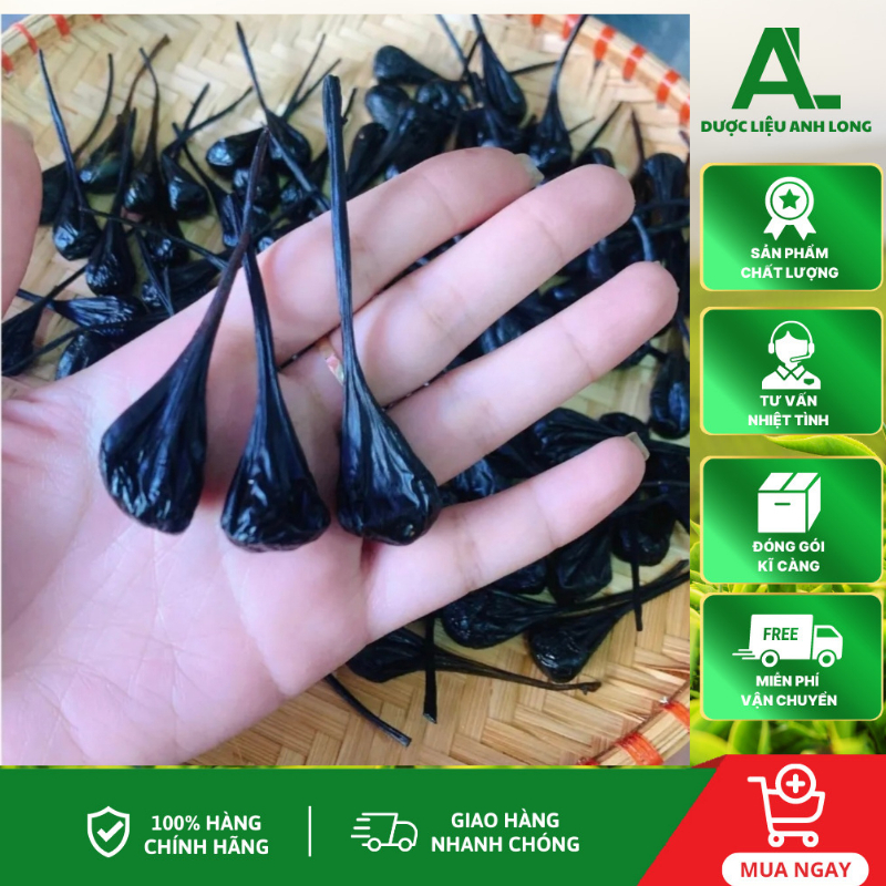MẬT KỲ ĐÀ - DƯỢC LIỆU HỖ TRỢ NGƯỜI BỊ HEN SUYỄN