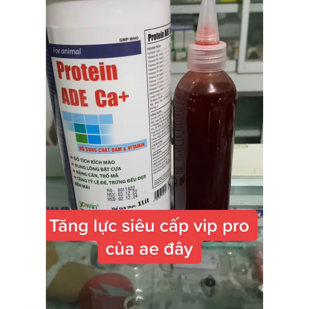 THUỐC NUÔI GÀ ĐÁ PROTEIN ADE CA+ - DINH DƯỠNG