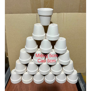 Sĩ 50 chậu đất nung trắng 5x5cm