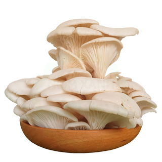 Nấm sò trắng tươi - khay 200g - foodmap
