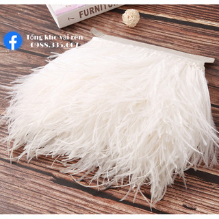 LÔNG ĐÀ ĐIỂU -LÔNG VŨ THỜI TRANG CAO CẤP SỢI 15CM