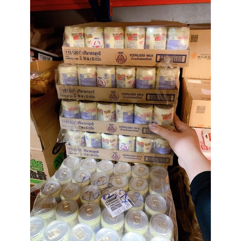 Sữa Gấu Nestle Thái Lan Giúp Bé Tăng Chiều Cao, Tăng Cân, Bổ Sung Canxi Cho Bé - Lon 150ml