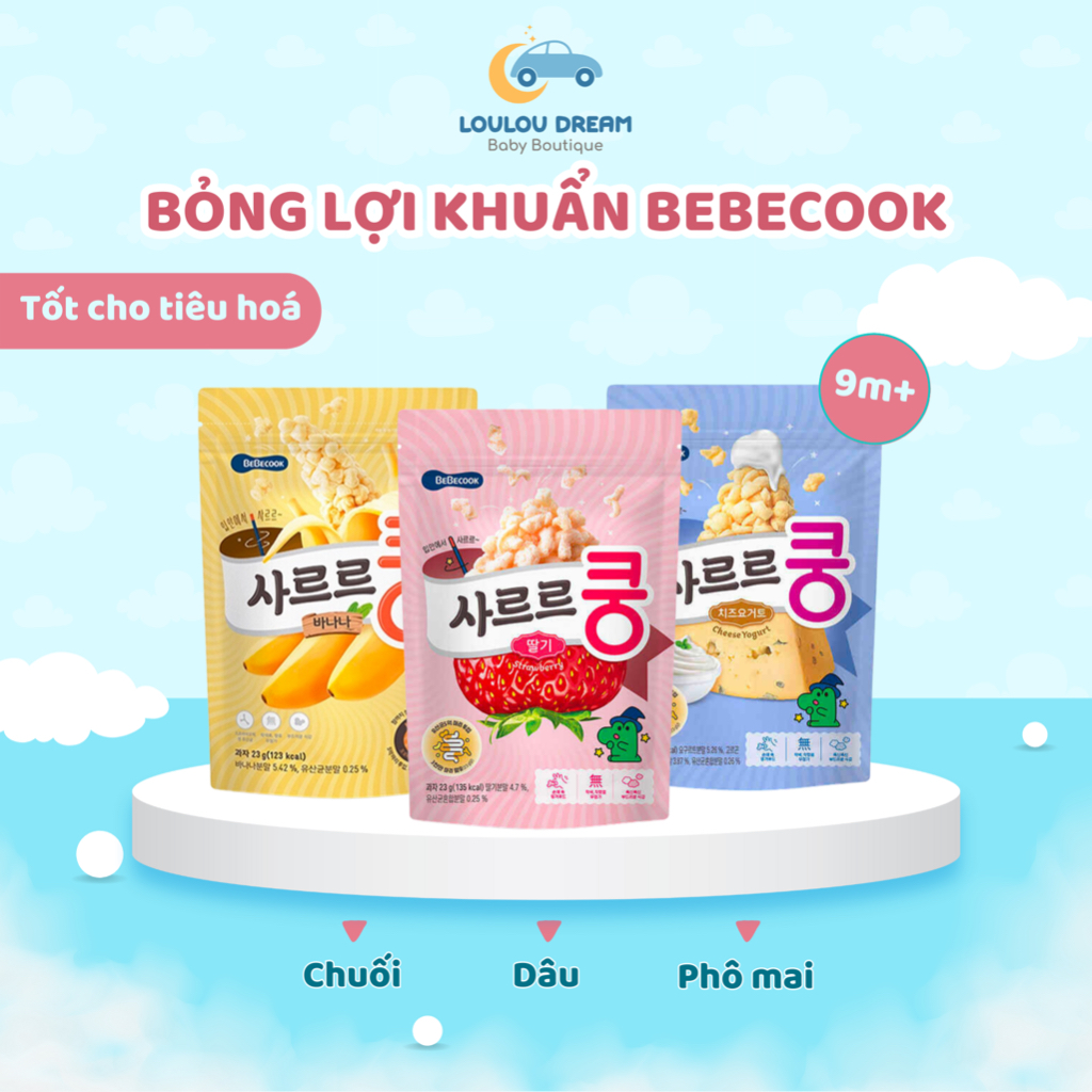 Bỏng ăn dặm lợi khuẩn Bebecook hữu cơ Hàn Quốc dành cho bé từ 9 tháng tuổi
