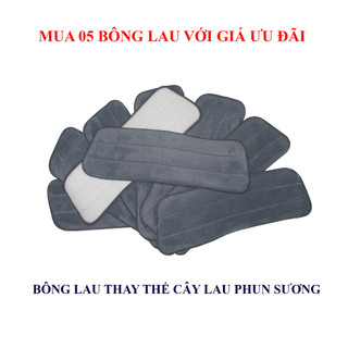 Bông lau nhà cây lau nhà phun sương