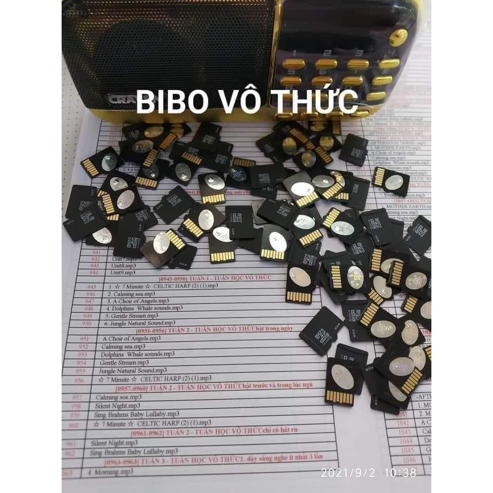 Thẻ nhớ loa bibo english