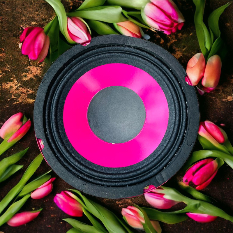 LOA TRUNG 16 SOWAY LOA BASS 16 LOA TRUNG 16 TỪ 100 COIL 25