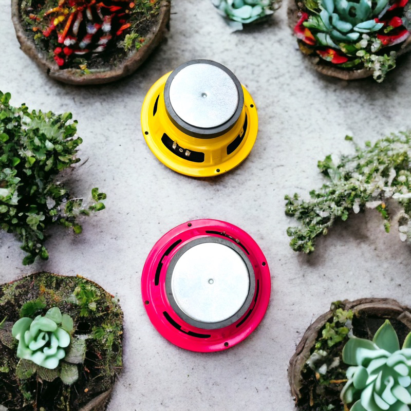 LOA TRUNG 16 SOWAY LOA BASS 16 LOA TRUNG 16 TỪ 100 COIL 25