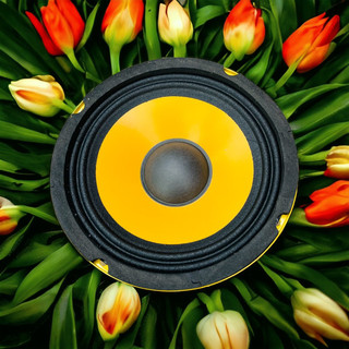 Loa trung 16 soway loa bass 16 loa trung 16 từ 100 coil 25