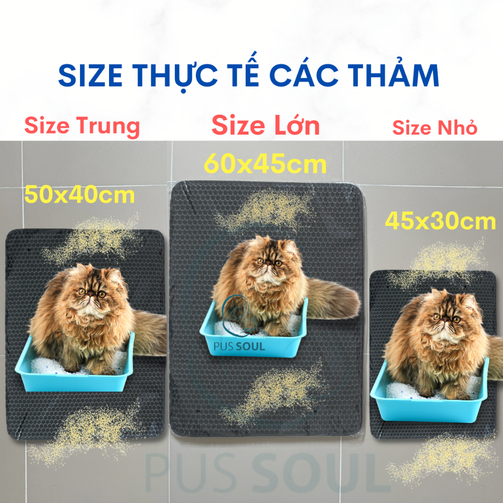 PusSoul - Thảm Hứng Cát Mèo Size Lớn 60x45cm - Thảm Lót Chống Văng Cát Cho Mèo, Chống Cát Mèo Rơi Vãi
