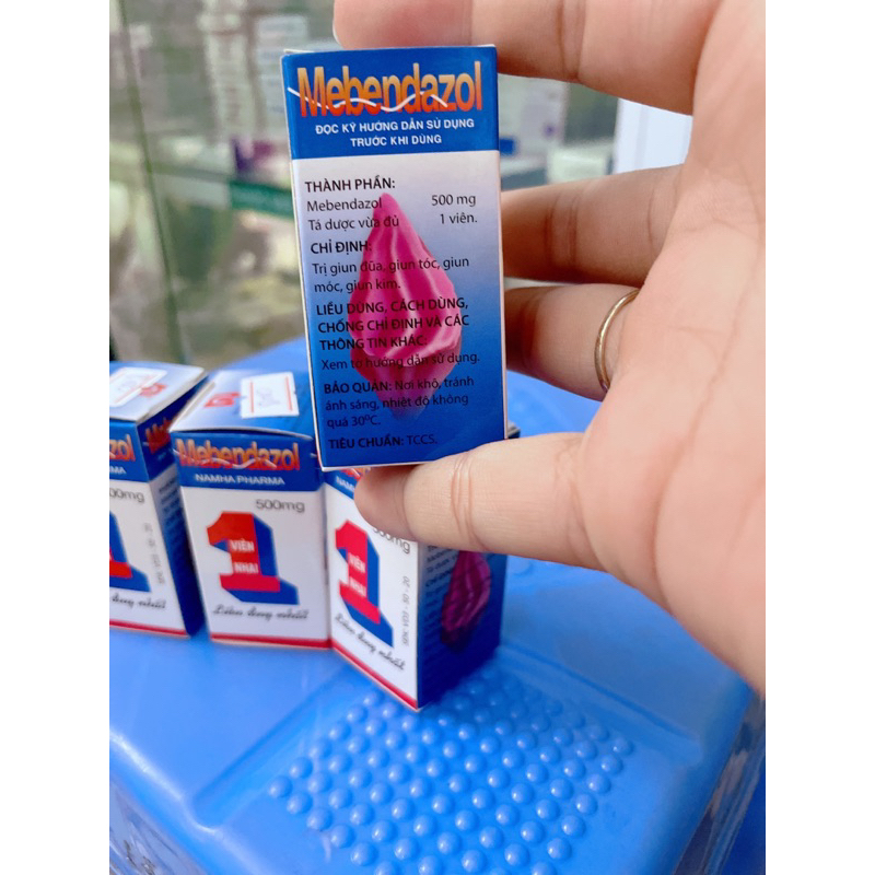 Giun quả núi nam hà