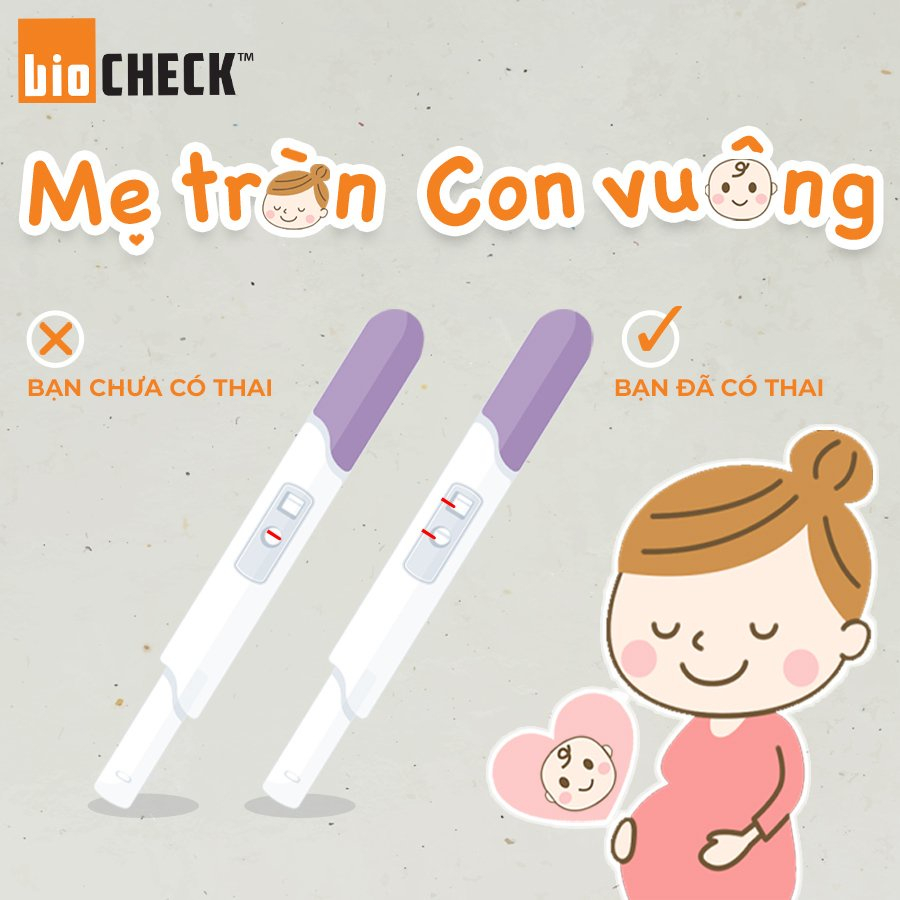 Combo 2 bút thử thai phát hiện thai sớm kèm hộp 7 que thử rụng trứng Biocheck