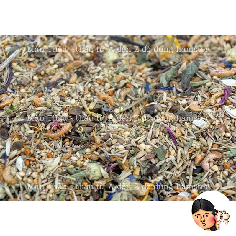 Thức ăn Getzoo Light hạn chế chất béo dành cho Hamster - gói nhỏ 40gram