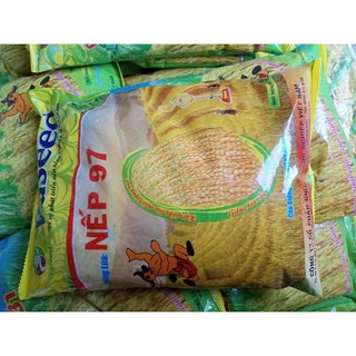 Giống lúa nếp