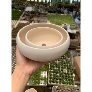 Cặp ang sứ miệng tròn trồng mix sen đá xương rồng