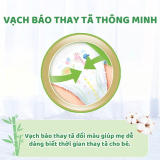 Bỉm dán Molfix S56,M48,L42