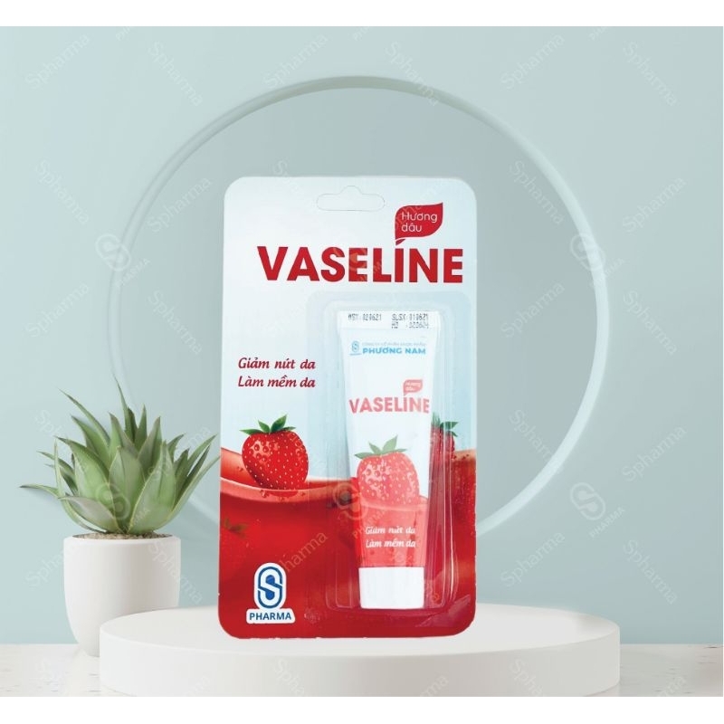Veseline dưỡng da khô nức nẻ chống nhăn tuyp 10g