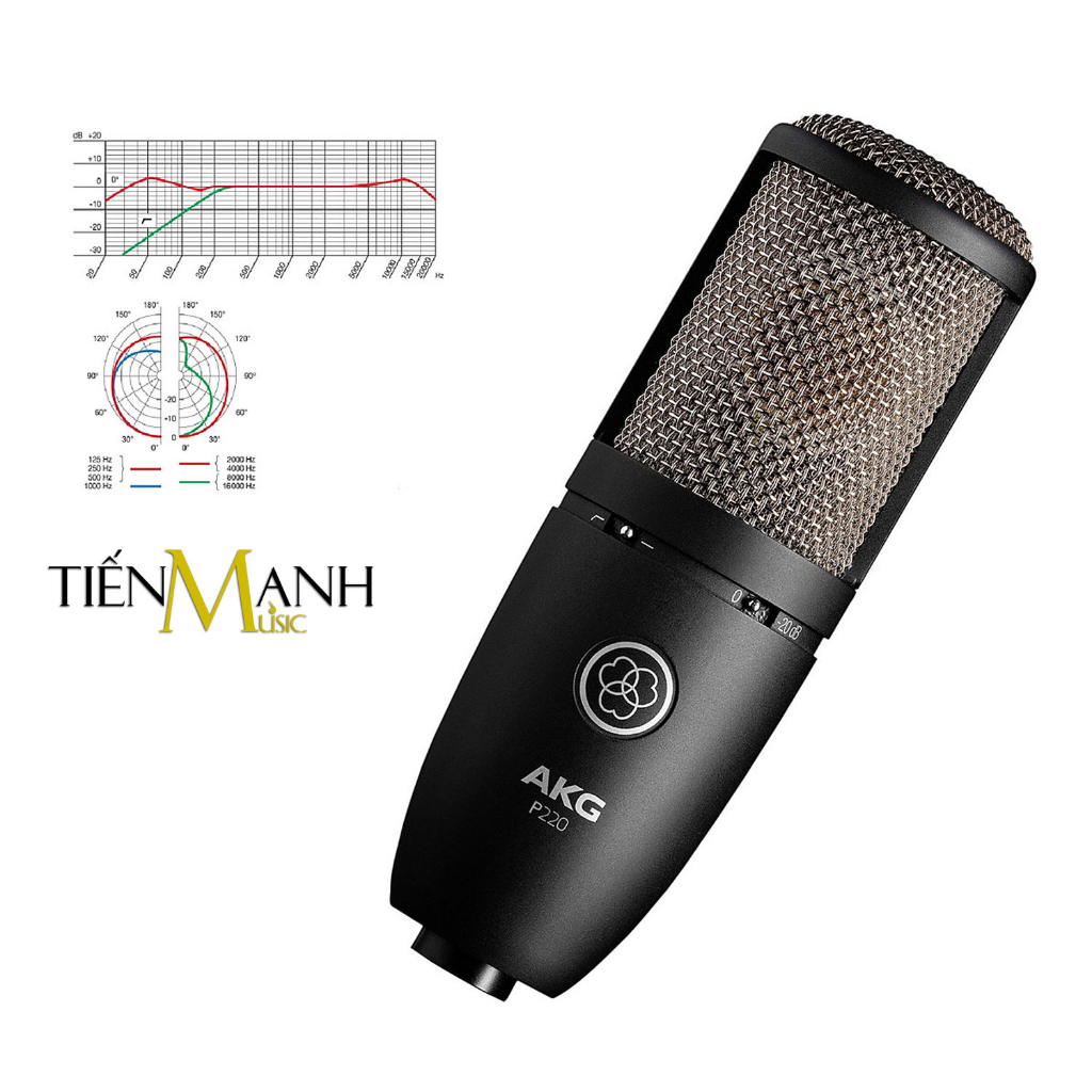 AKG P220 Micro Vocal Condenser Thu Âm Phòng Studio, Mic Biểu Diễn Microphone Cardioid