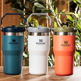 Bình giữ nhiệt Stanley The IceFlow Flip Straw Water Bottle