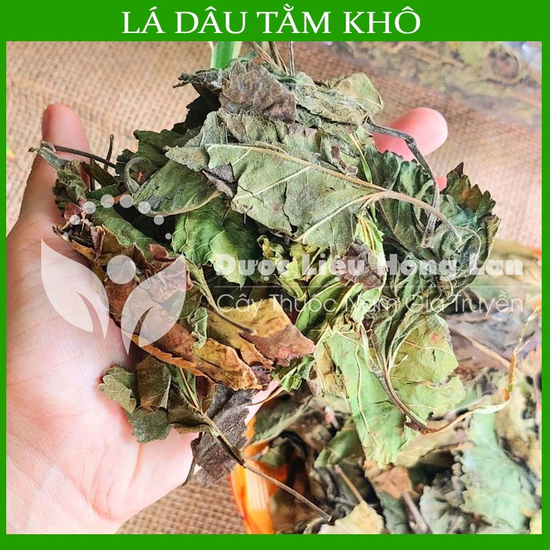 ✅ LÁ DÂU TẰM khô sạch đóng gói 1kg - congtyduoclieuhonglan