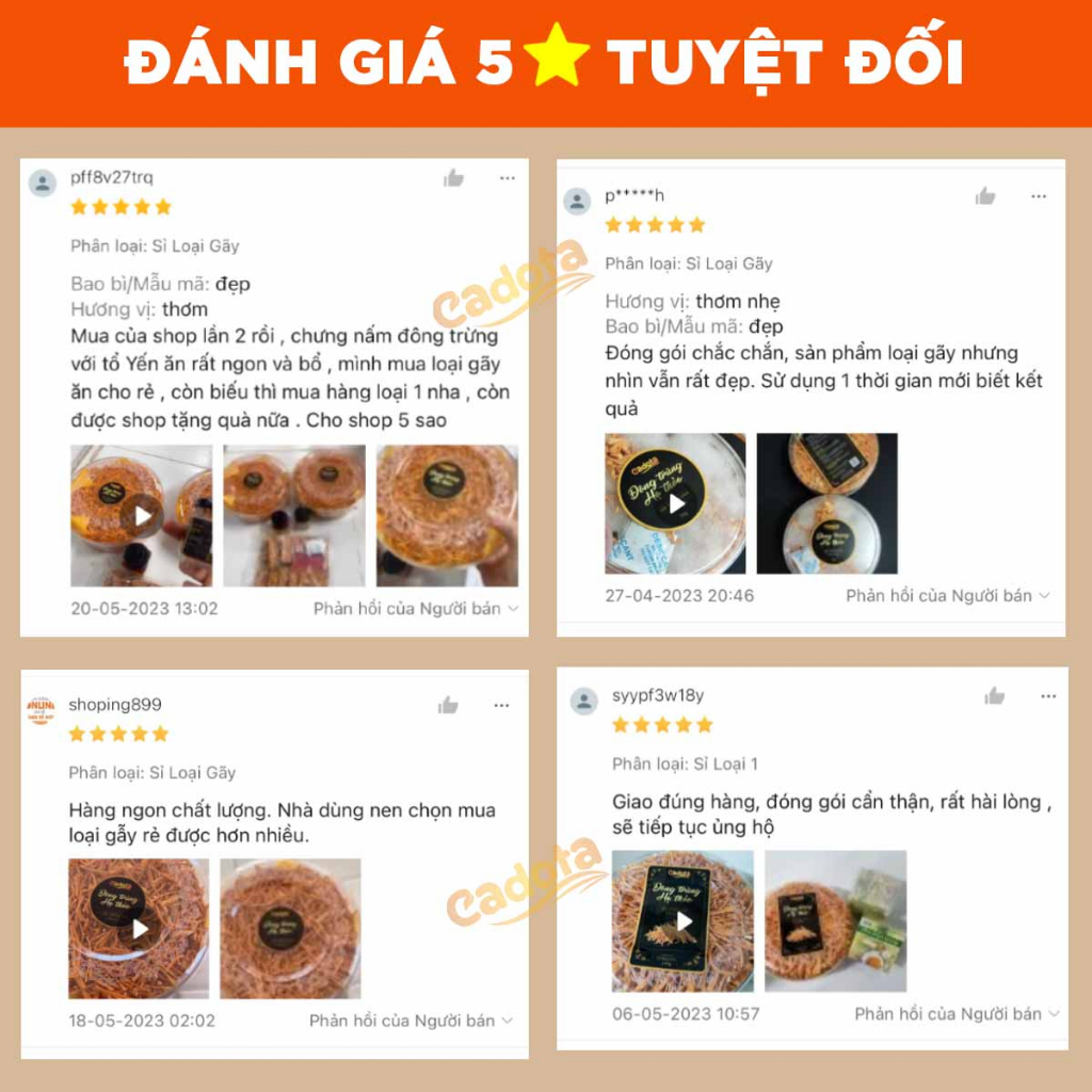 Đông Trùng Hạ Thảo Sấy Thăng Hoa CADOTA, Hũ 100g, Bán Lẻ Giá Sỉ Cho Đại Lý Nhập Thử Test Chất Lượng