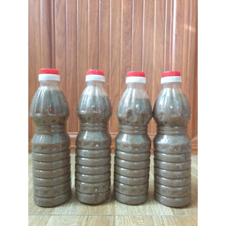 Mắm nêm cá cơm đặc sản Bình Định. 350ml