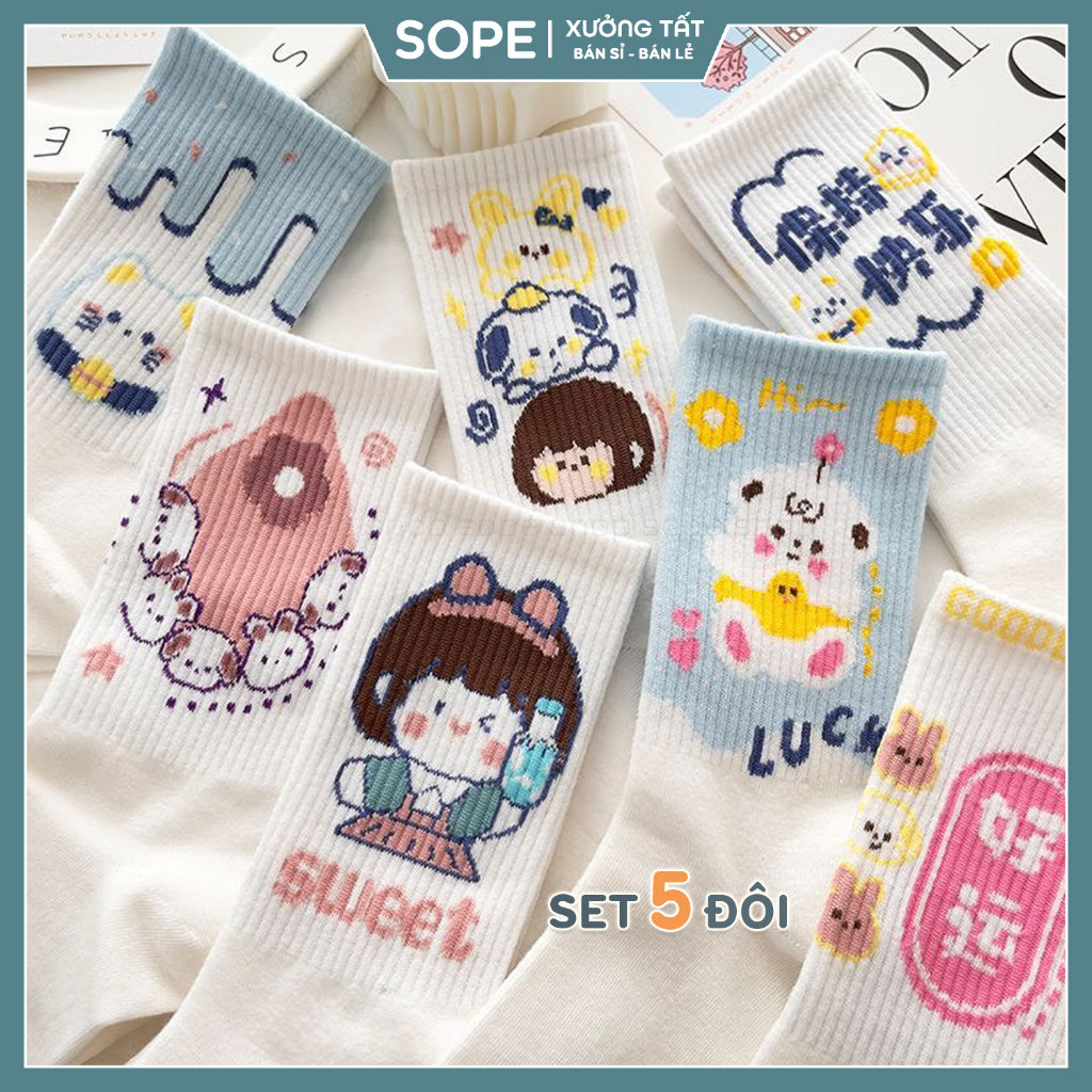 Tất vớ nữ cổ cao họa tiết hoạt hình siêu đáng yêu, set 5 đôi chất liệu cotton thoáng khí - Sope Shop