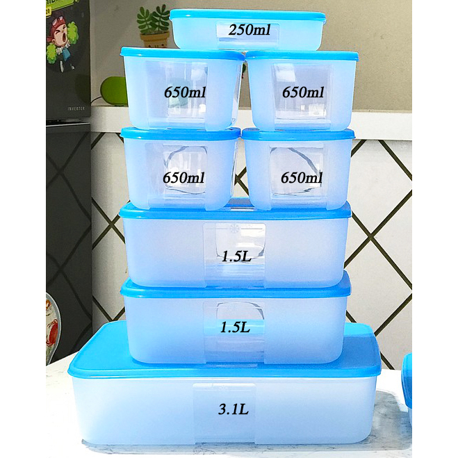 Hộp Trữ Đông Tupperware Freezermate Jumbo 250ml
