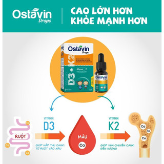 Vitamin D3 + K2 Ostavin drops 10ml
