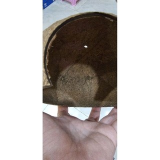 Hang gáo dừa cho thú cưng size lớn , nhỏ