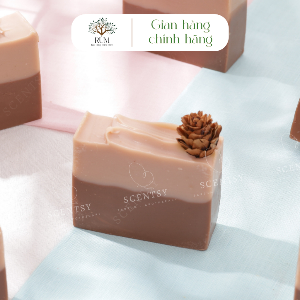 Xà Phòng Tắm Thiên Nhiên | Mùi Gỗ Thông | Scentsy