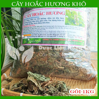 Cây Hoắc Hương khô - Hàng Công Ty loại 1