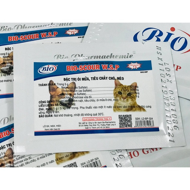 Bio-Scour WSP kiểm soát ói mửa tiêu chảy chó mèo