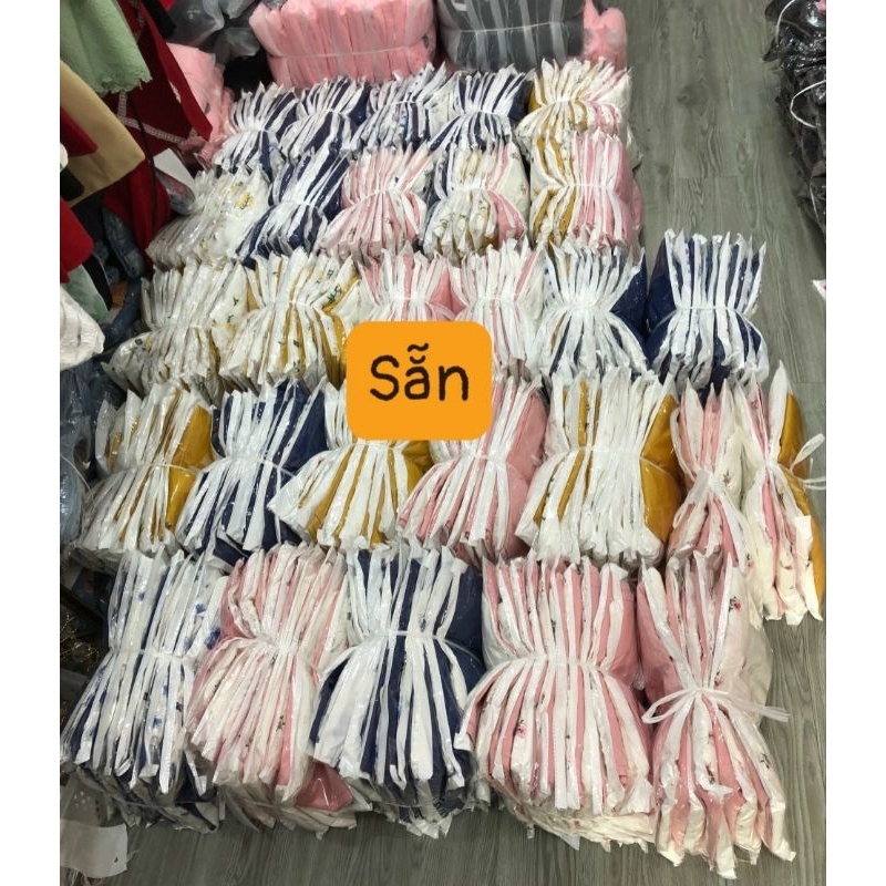 Sét Áo Thêu Kèm Chân Váy Big Size   MS04-03