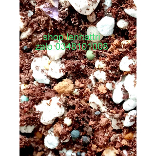 Đất trồng sen đá xương rồng 1kg