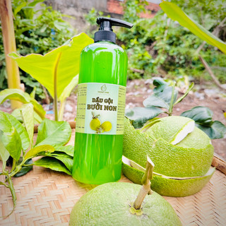 1 LÍT DẦU GỘI BƯỞI NON - THẢO ANH
