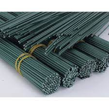 Kẽm Cành 40cm - 10 Cây
