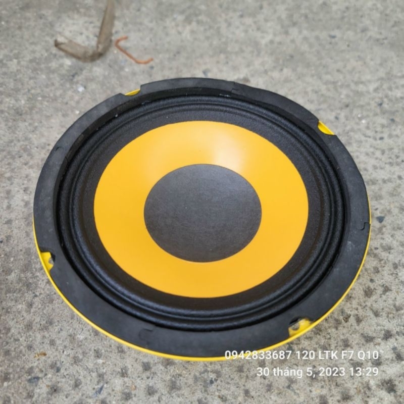 Loa Trung Thái từ 100