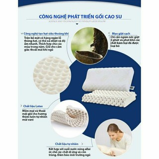 GỐI CAO SU VENTRY XỊN
