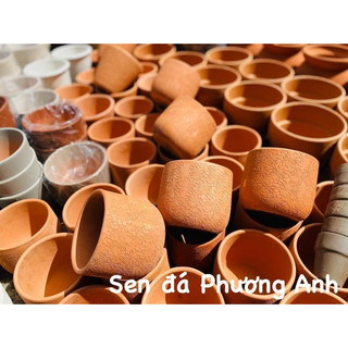 Chậu trồng sen đá, chậu đất nung sen đá phương anh kiểu in hoa 13cm*13cm, vỡ 1 đổi 1