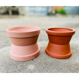 Chậu đất nung sen đá phương anh, chậu trồng sen đá size 20cm