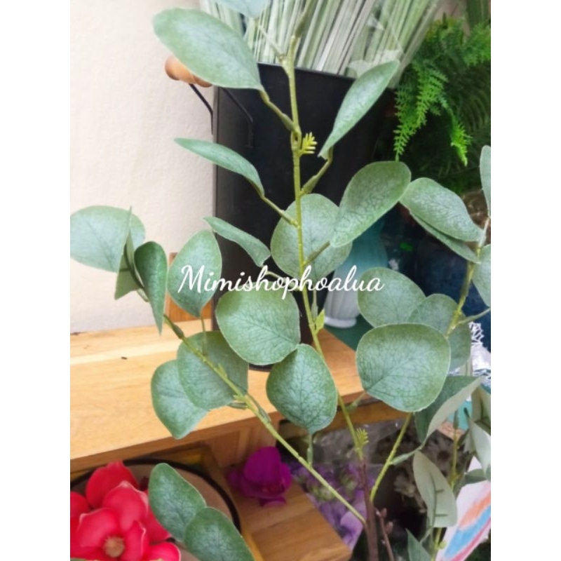 Cây giả- Cành lá táo dài 5 nhánh  Lá bạch đàn  - trang trí nhà cửa, làm cây giả